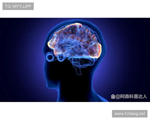 长时间打游戏会让大脑退化，智力和思维能力逐渐变钝的原因分析